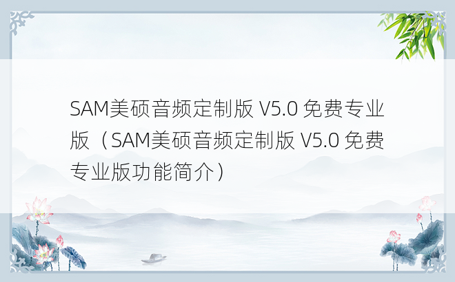 SAM美硕音频定制版 V5.0 免费专业版（SAM美硕音频定制版 V5.0 免费专业版功能简介）