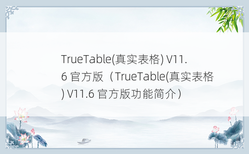TrueTable(真实表格) V11.6 官方版（TrueTable(真实表格) V11.6 官方版功能简介）