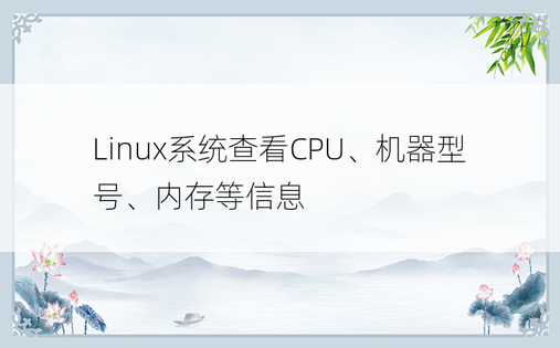 Linux系统查看CPU、机器型号、内存等信息