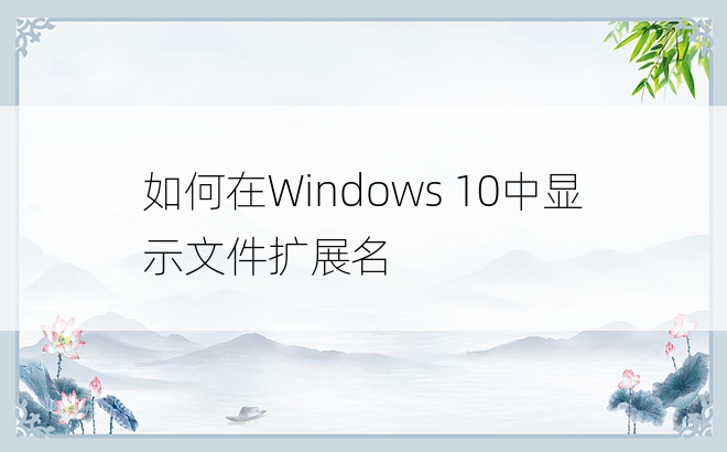 如何在Windows 10中显示文件扩展名
