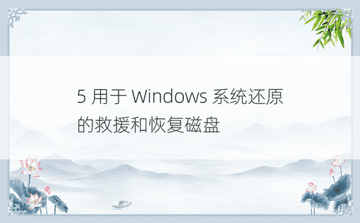 5 用于 Windows 系统还原的救援和恢复磁盘 