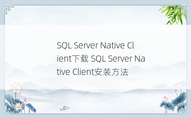 SQL Server Native Client下载 SQL Server Native Client安装方法