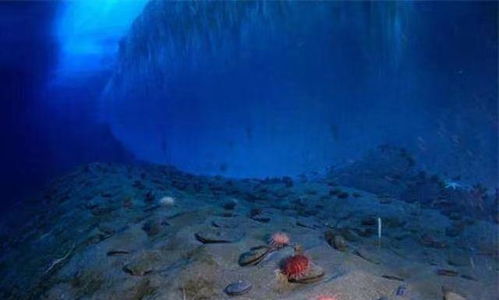 深海奥秘：人类探索海底世界的主要困难