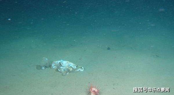 惊世发现！科学家海底探测竟达千米深度！