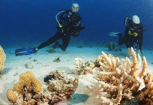 海底探测技术包括什么