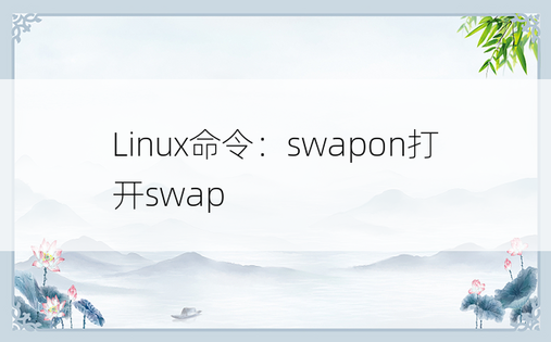 Linux命令：swapon打开swap