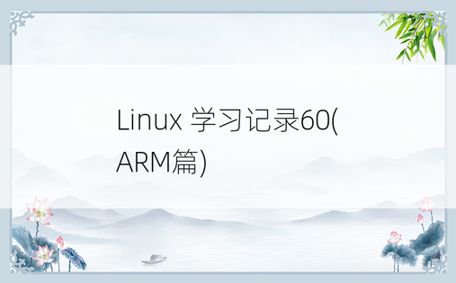 
Linux 学习记录60(ARM篇)