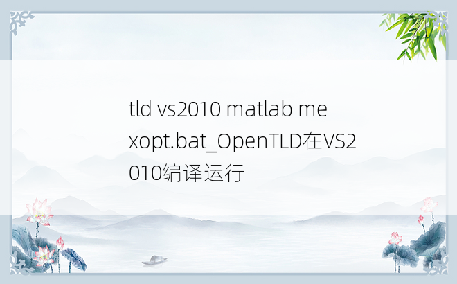 tld vs2010 matlab mexopt.bat_OpenTLD在VS2010编译运行