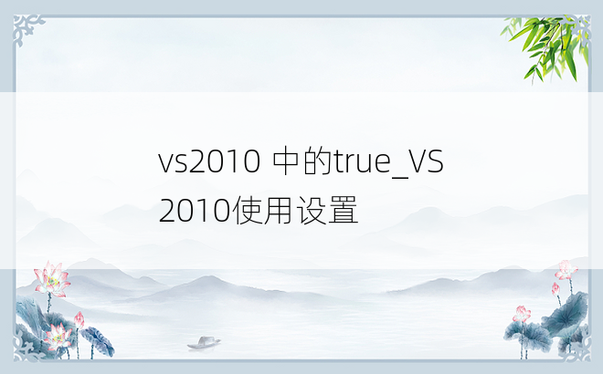 vs2010 中的true_VS2010使用设置