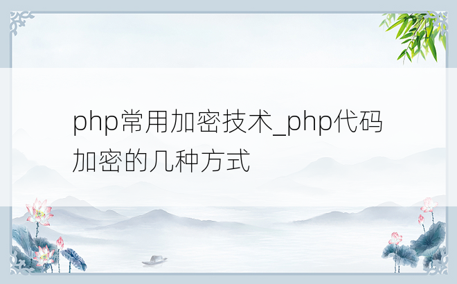 php常用加密技术_php代码加密的几种方式